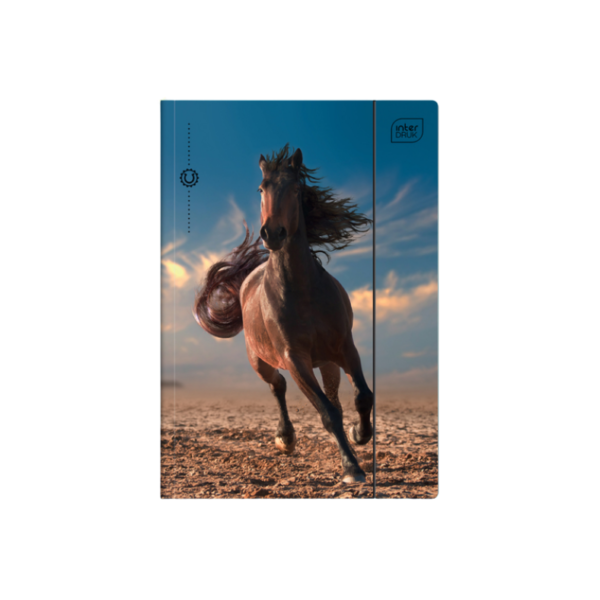 Teczka z gumką A4 Girls - obrazek 3