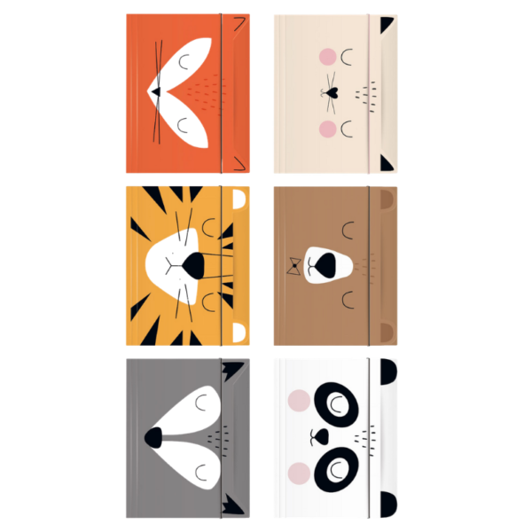 Teczka z gumką A4 BB Friends