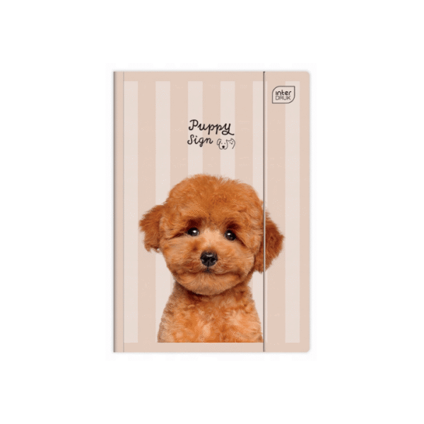 Teczka z gumką A4 Puppy Sign - obrazek 5